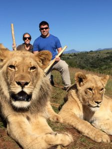 Walking with lions Botlierskop