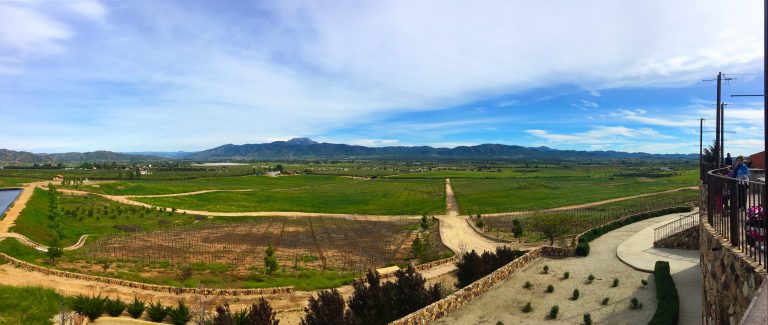 View from Vinos las Nubes