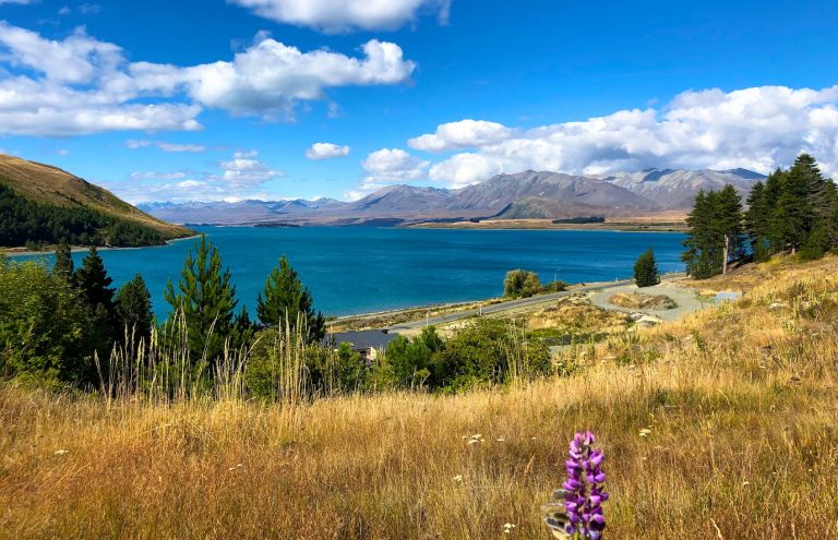 New Zealand: A 12-Day Itinerary