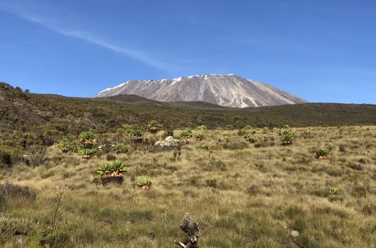 Climbing Mt. Kilimanjaro: 6-Day Rongai Route