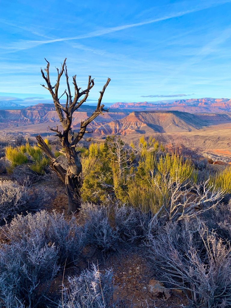 Zion National Park